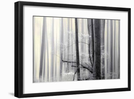 Still Silence-Marvin Pelkey-Framed Giclee Print