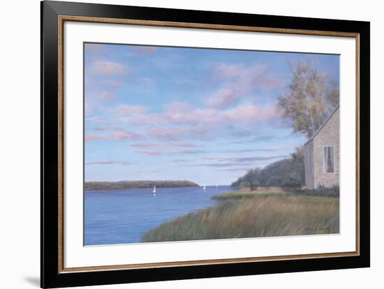 Still Waters-Diane Romanello-Framed Art Print