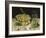 Stilleben (Mit Maus)-Georg Flegel-Framed Giclee Print