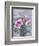 STILLIFE #2-ALLAYN STEVENS-Framed Art Print