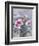 STILLIFE #2-ALLAYN STEVENS-Framed Art Print