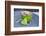 Stilllife, Green, Heart, Bowl, Cherry Flowers-Andrea Haase-Framed Photographic Print