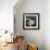 Stillness 1-Jim Nilsen-Framed Giclee Print displayed on a wall