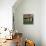 Stillness 3-Jim Nilsen-Mounted Giclee Print displayed on a wall