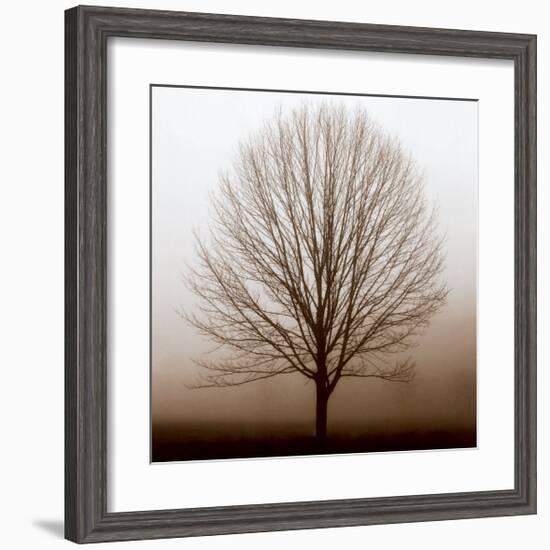 Stillness-Erin Clark-Framed Art Print