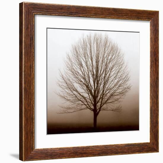 Stillness-Erin Clark-Framed Art Print