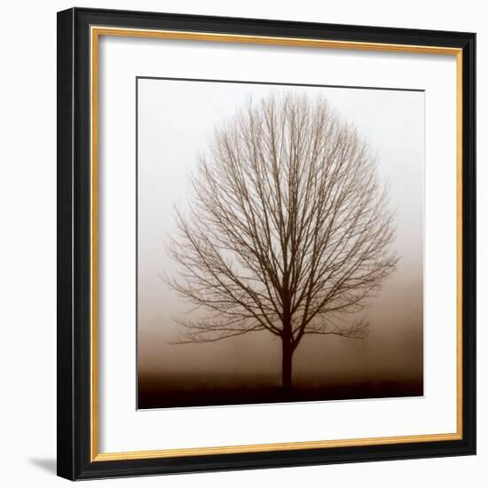 Stillness-Erin Clark-Framed Art Print