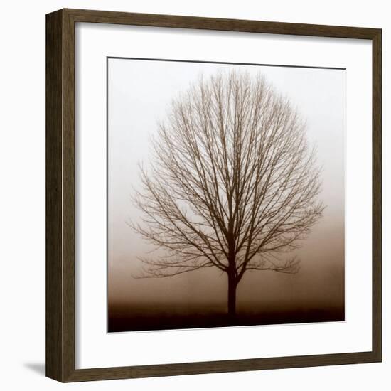 Stillness-Erin Clark-Framed Art Print