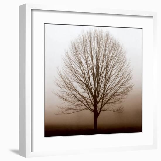 Stillness-Erin Clark-Framed Art Print