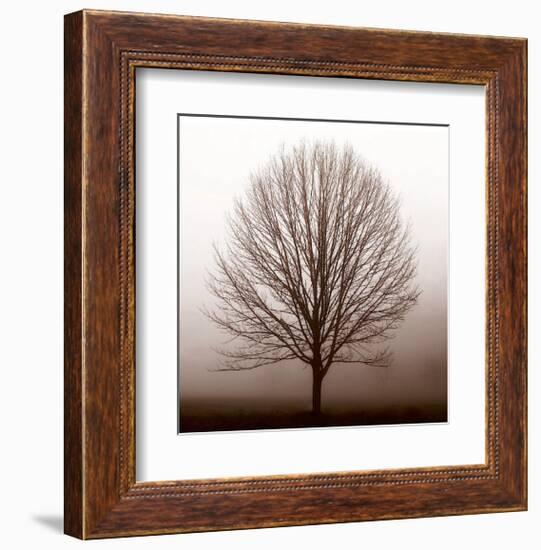 Stillness-Erin Clark-Framed Giclee Print