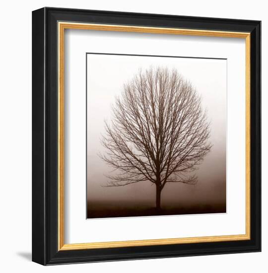 Stillness-Erin Clark-Framed Giclee Print