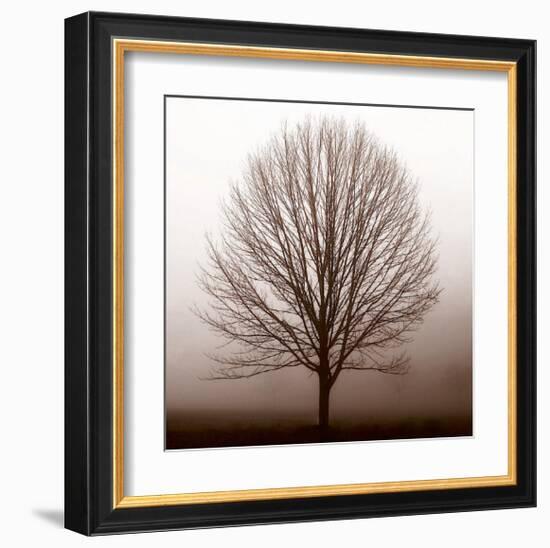 Stillness-Erin Clark-Framed Giclee Print