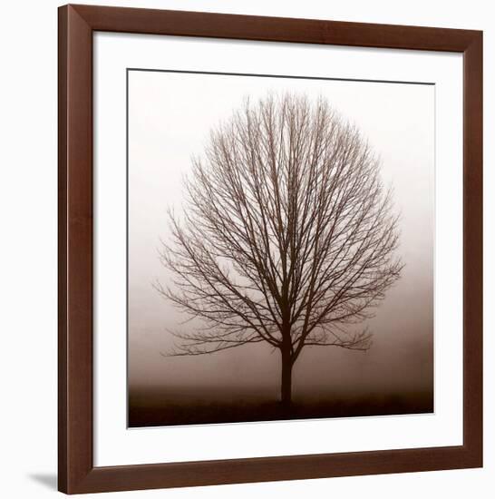 Stillness-Erin Clark-Framed Giclee Print