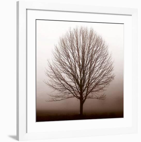 Stillness-Erin Clark-Framed Giclee Print