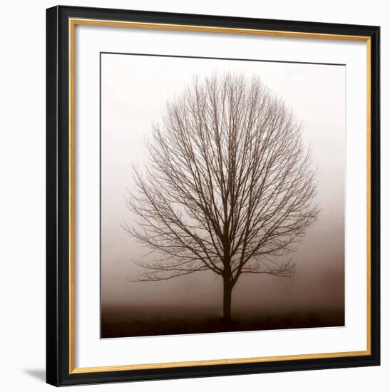 Stillness-Erin Clark-Framed Art Print