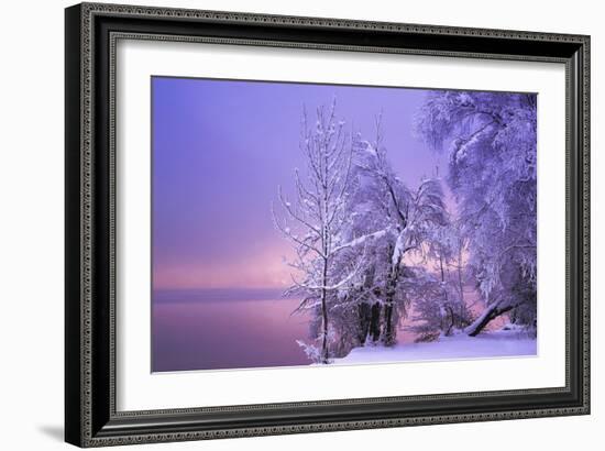 Stillness-Norbert Maier-Framed Giclee Print