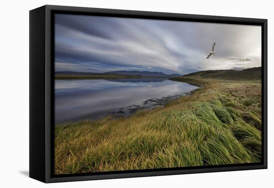 Stillness-Bragi Ingibergsson --Framed Premier Image Canvas