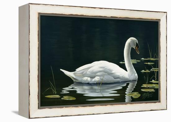 Stillwater-Wilhelm Goebel-Framed Premier Image Canvas