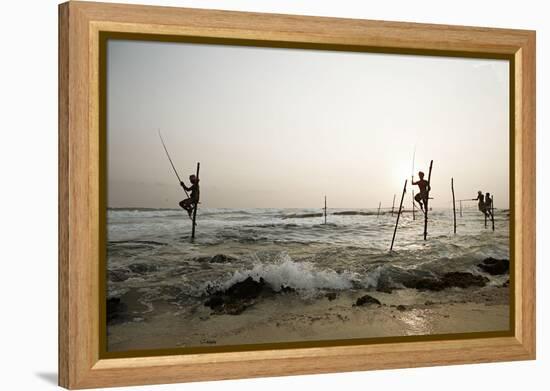 Stilt fisherman in Sri Lanka-Rasmus Kaessmann-Framed Premier Image Canvas