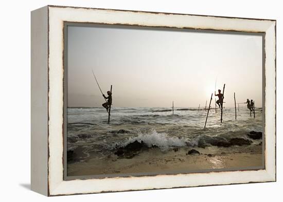 Stilt fisherman in Sri Lanka-Rasmus Kaessmann-Framed Premier Image Canvas