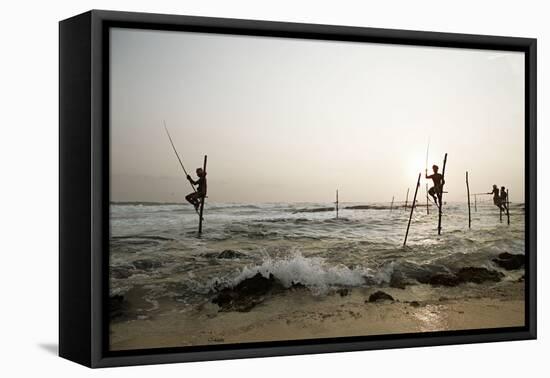 Stilt fisherman in Sri Lanka-Rasmus Kaessmann-Framed Premier Image Canvas