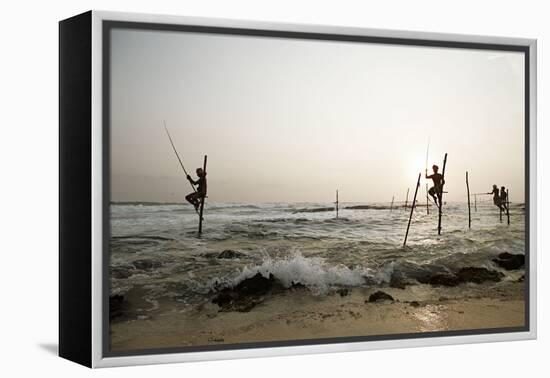 Stilt fisherman in Sri Lanka-Rasmus Kaessmann-Framed Premier Image Canvas