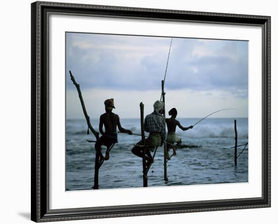 Stilt Fishermen Fishing from Their Poles Between Unawatuna and Weligama, Sri Lanka-Yadid Levy-Framed Photographic Print