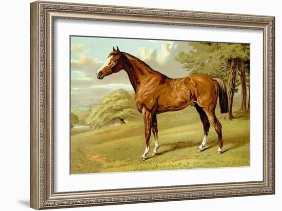 Stilton, A Hunter-Samuel Sidney-Framed Art Print