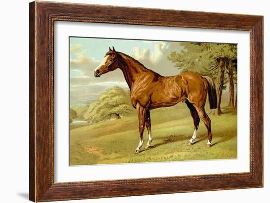 Stilton, A Hunter-Samuel Sidney-Framed Art Print