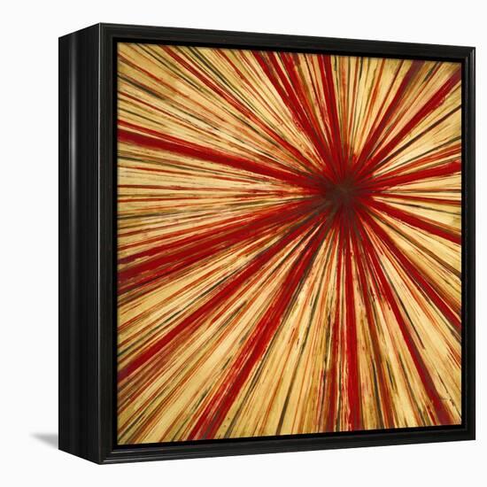 Stimulating 2-Randy Hibberd-Framed Stretched Canvas