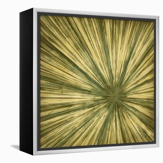 Stimulating 3-Randy Hibberd-Framed Stretched Canvas