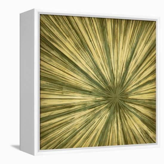 Stimulating 3-Randy Hibberd-Framed Stretched Canvas