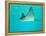 Sting Ray, Sea World, Gold Coast, Queensland, Australia-David Wall-Framed Premier Image Canvas