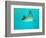 Sting Ray, Sea World, Gold Coast, Queensland, Australia-David Wall-Framed Photographic Print