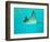 Sting Ray, Sea World, Gold Coast, Queensland, Australia-David Wall-Framed Photographic Print