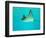 Sting Ray, Sea World, Gold Coast, Queensland, Australia-David Wall-Framed Photographic Print