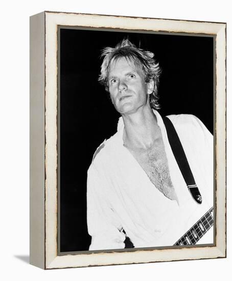 Sting-null-Framed Stretched Canvas