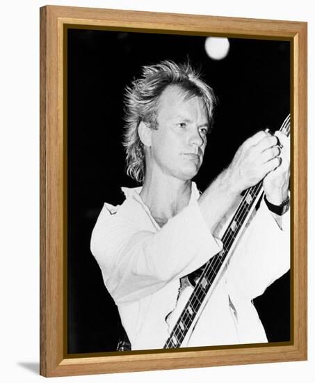 Sting-null-Framed Stretched Canvas