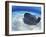 Stingray City, Grand Cayman, Cayman Islands, Caribbean-Greg Johnston-Framed Photographic Print