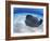 Stingray City, Grand Cayman, Cayman Islands, Caribbean-Greg Johnston-Framed Photographic Print