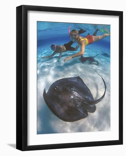 Stingray City, Grand Cayman, Cayman Islands, Caribbean-Greg Johnston-Framed Photographic Print