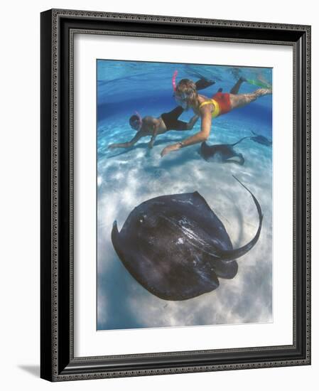 Stingray City, Grand Cayman, Cayman Islands, Caribbean-Greg Johnston-Framed Photographic Print