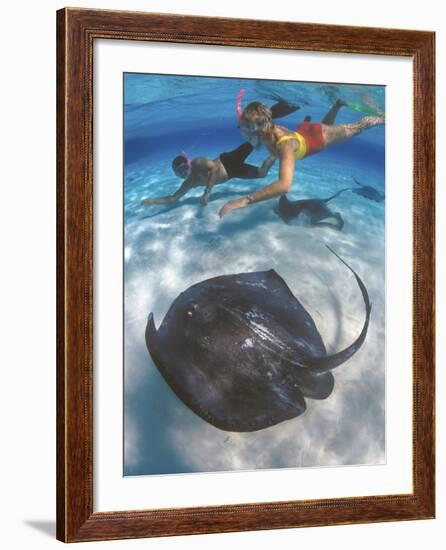 Stingray City, Grand Cayman, Cayman Islands, Caribbean-Greg Johnston-Framed Photographic Print