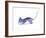 Stingray-Suren Nersisyan-Framed Art Print