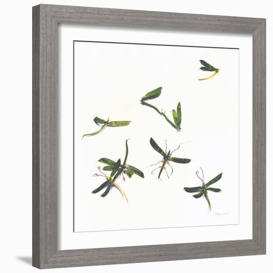 Stir Fly-Donna Basile-Framed Giclee Print