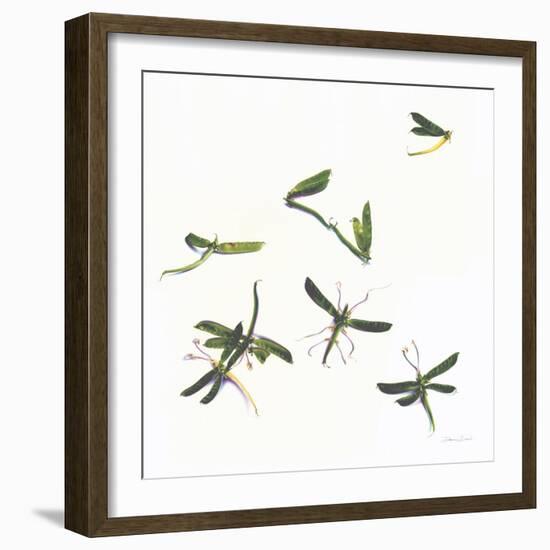 Stir Fly-Donna Basile-Framed Giclee Print