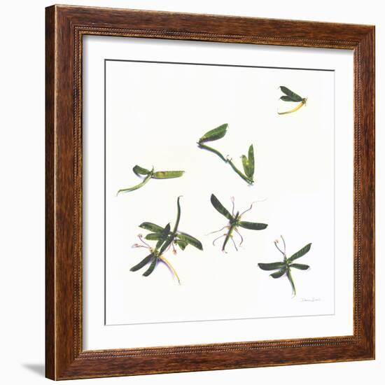 Stir Fly-Donna Basile-Framed Giclee Print