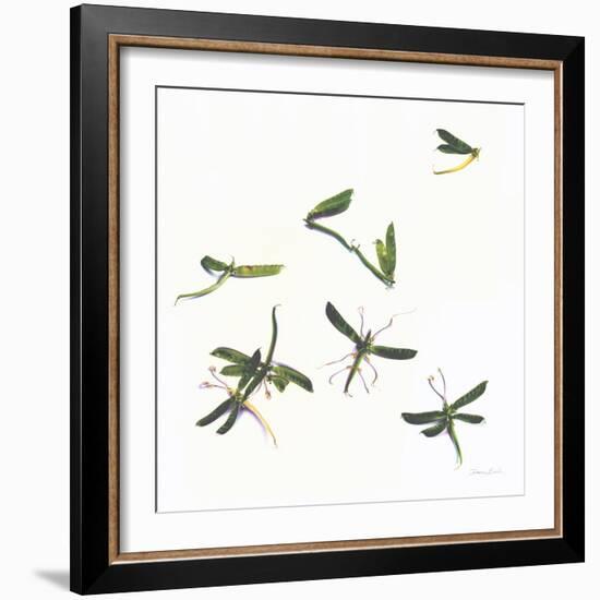 Stir Fly-Donna Basile-Framed Giclee Print