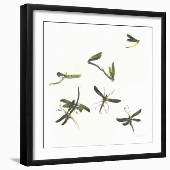 Stir Fly-Donna Basile-Framed Giclee Print