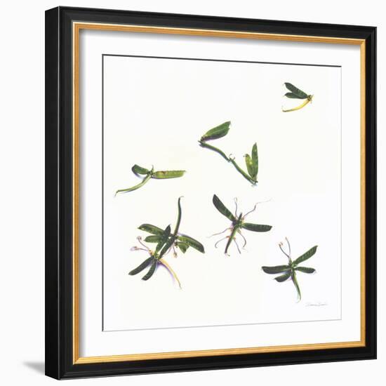 Stir Fly-Donna Basile-Framed Giclee Print